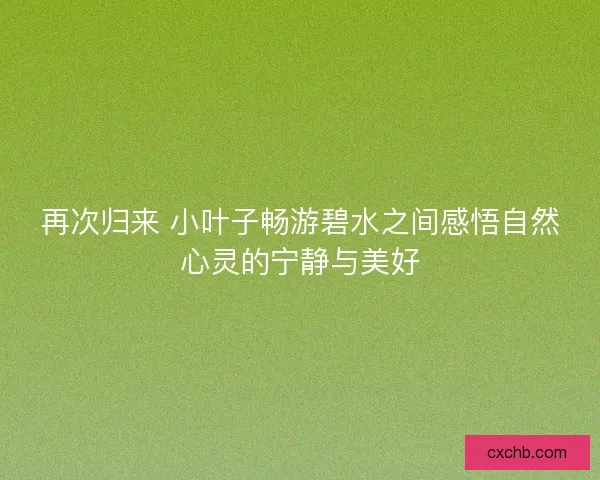 再次归来 小叶子畅游碧水之间感悟自然心灵的宁静与美好