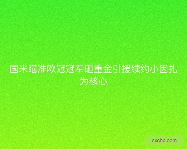 国米瞄准欧冠冠军砸重金引援续约小因扎为核心